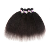 9ABrazilianVirginHumanHairYakiKinkyStraightHair Real Hair European and American Brand