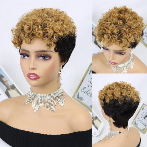 100% Human Hair Short Curly Wig Brazilian Color hair