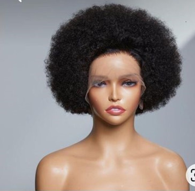 Brazilian Afro Wig 100% Human Hair 13*4 Big lace Fratal wig
