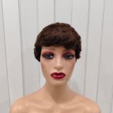 Pixie Cut Wigs 100% Human Hair Wigs Short Curly Pixie