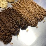 France curly wig, real human hair, crochet braiding, European and American cross-border human hair