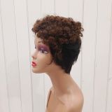 100% Human Hair Short Curly Wig Brazilian Color hair