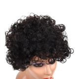 Promotion 100% human hair short curly wig Natural color