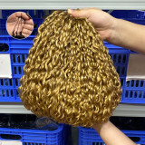 Real human hair crochet extensions pixie curly crochet human hair European and American cross-border wigs