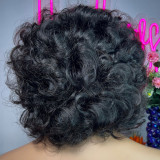 Double Drawn Wigs with Fringe Bouncy Curls wig, brown, short curly hair