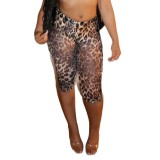 FC1323 European and American style sexy slim-fit leopard print shorts for hot girls