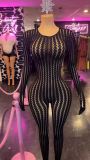 Y3008335 European and American cross-border new women's clothing sexy sheer fashion seamless striped jacquard tight-fitting long-sleeve jumpsuit