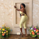 New European and American cross-border foreign trade sexy halter neck metal buckle backless lace-up top and hip-hugging cropped pants women's outfit