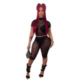 FC1447 European and American cross-border sexy hot girl flocked mesh two-piece fashion suit for women
