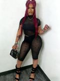 1447Black mesh flocked pattern sheer T-shirt & shorts set