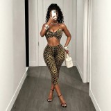 FC1505 European and American cross-border women's fashion hot-selling sexy leopard print camisole top and tight pants set