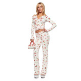 Cross-border European and American summer new fashion casual printed cherry zip-up hooded top and hip-hugging long pants set