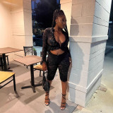 Y300830 European and American cross-border fashion women's sexy lace two-piece set
