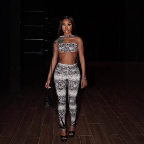 Cross-border European and American summer new fashion printed snake pattern halter neck sleeveless slim-fit long pants set