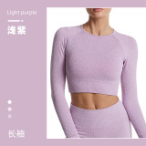 Cross-border ribbed yoga wear for women, summer tight-fitting quick-dry sports top, women's running fitness short-sleeve set wholesale
