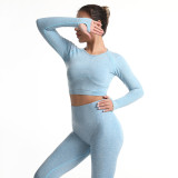 European and American style yoga outfit, high-waisted, tight-fitting, butt-lifting, long-sleeved yoga pants, sports and fitness cross-border long pants