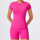 Cross-border spring and summer yoga wear, short-sleeved fitness sports top, outerwear, outdoor running quick-dry shirt for women