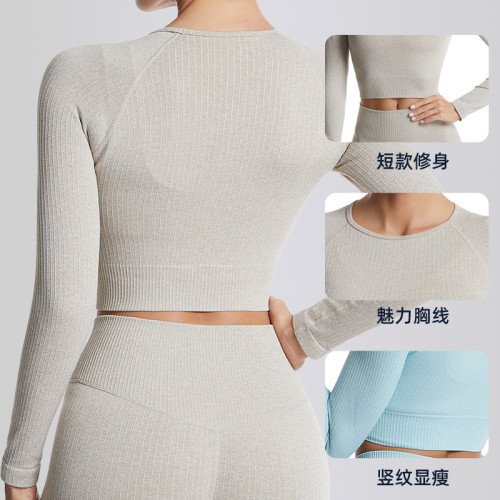 European and American cross-border quick-dry yoga long-sleeve top, ribbed plus-size sports fitness underwear, tight-fitting yoga top for women