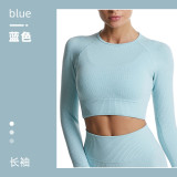 European and American cross-border quick-dry yoga long-sleeve top, ribbed plus-size sports fitness underwear, tight-fitting yoga top for women