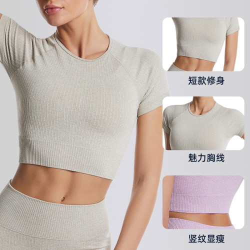Cross-border ribbed yoga wear for women, summer tight-fitting quick-dry sports top, women's running fitness short-sleeve set wholesale