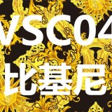 VSC European and American style gold patterned two-piece bikini swimsuit, fashionable and sexy for vacation