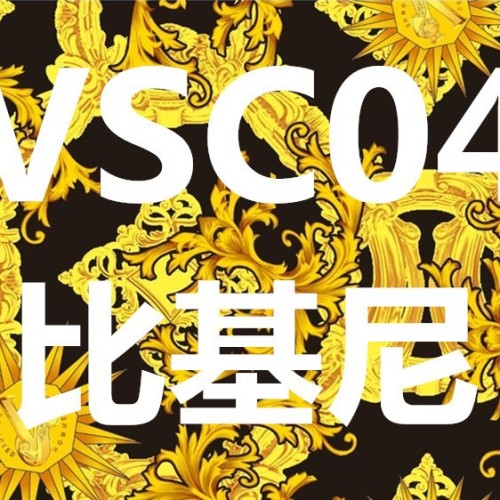 VSC European and American style gold patterned two-piece bikini swimsuit, fashionable and sexy for vacation