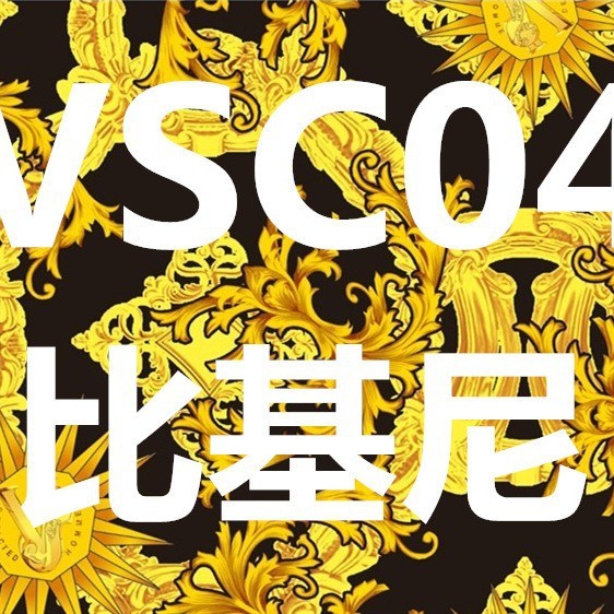 VSC European and American style gold patterned two-piece bikini swimsuit, fashionable and sexy for vacation