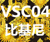 VSC European and American style gold patterned two-piece bikini swimsuit, fashionable and sexy for vacation