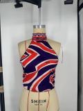 European and American sexy bikini swimwear