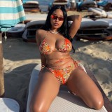 European and American sexy bikini swimwear, bikini thong swimwear, fashionable two-piece swimsuit