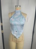 European and American sexy bikini swimwear