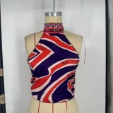 European and American sexy bikini swimwear