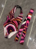 New one-piece and two-piece bikini European and American sexy swimwear