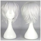 Anime Tokyo Ghoul Ken Kaneki Cosplay Wigs Cosplay Accessories Hair Silver White Wigs