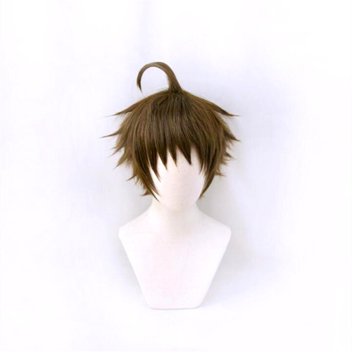 Danganronpa Hajime Hinata Cosplay Wigs Halloween Cosplay Accessories