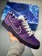 Concepts x Nike SB Dunk Low 联名  紫龙虾 BV1310-555