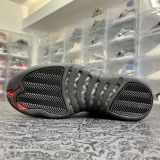 Air Jordan 12 Reverse Flu Game 流感反转 CT8013-602