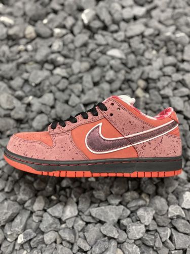 Nike Dunk Low Red Lobster SB 红龙虾313170-661
