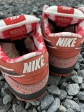 Nike Dunk Low Red Lobster SB 红龙虾313170-661
