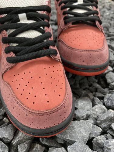 Nike Dunk Low Red Lobster SB 红龙虾313170-661