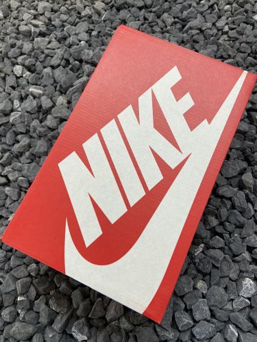 Nike Dunk Light Bone 低帮/骨白/米色 DD1503-107