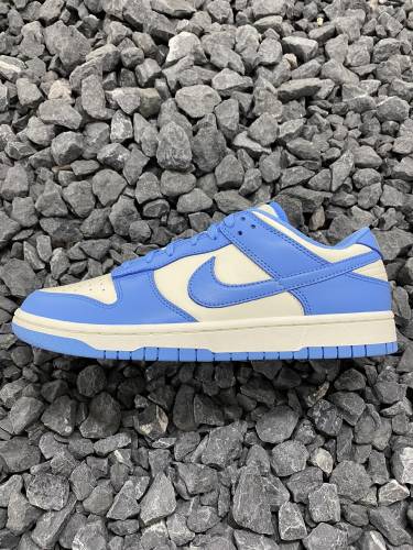 Nike Dunk Coast Low Top/North Carolina DD1503-100