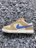 Nike Dunk low/brown/blue DO6712-200