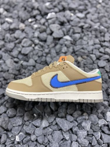 Nike Dunk low/brown/blue DO6712-200