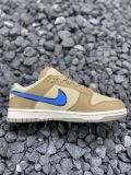 Nike Dunk low/brown/blue DO6712-200