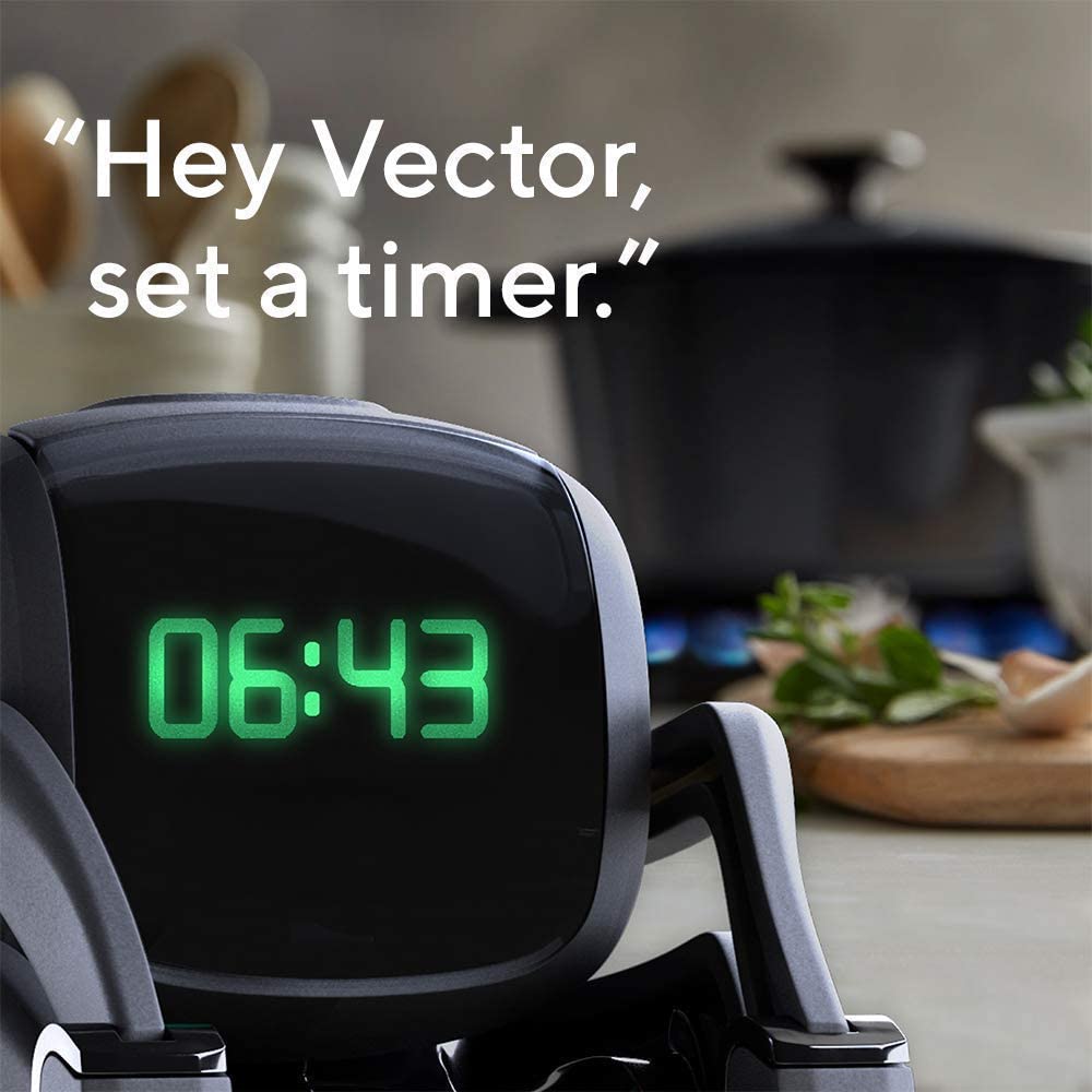 vector robot amazon price