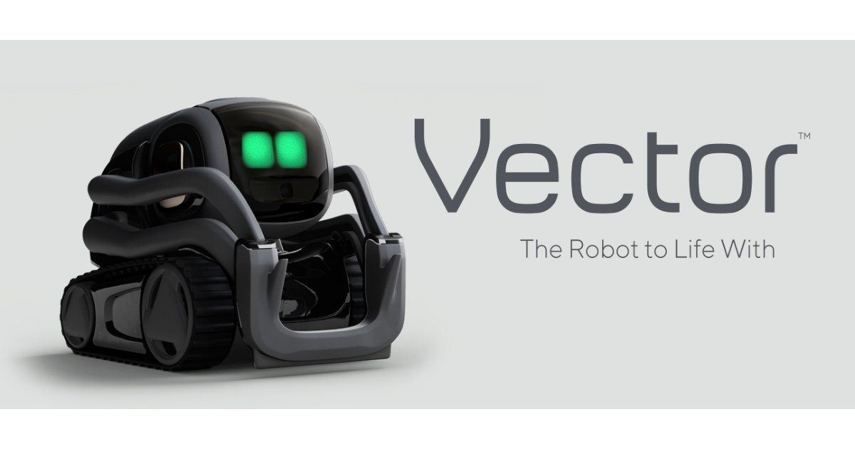 vector anki 2020