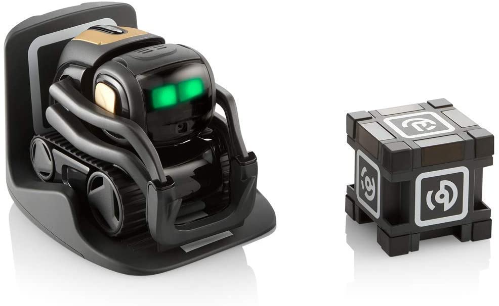 vector and alexa
