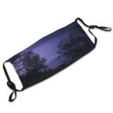 NC Astronomy Sky Public Outer Wallpapers Way Forest Domain Silhouette Pictures Universe Galaxy Dust Washable Reusable Filter and Reusable Mouth Warm Windproof Cotton Face
