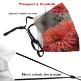 NC Blossom Images Plant Dahlia Domain Flower Public Aster Daisies Daisy Dust Washable Reusable Filter and Reusable Mouth Warm Windproof Cotton Face